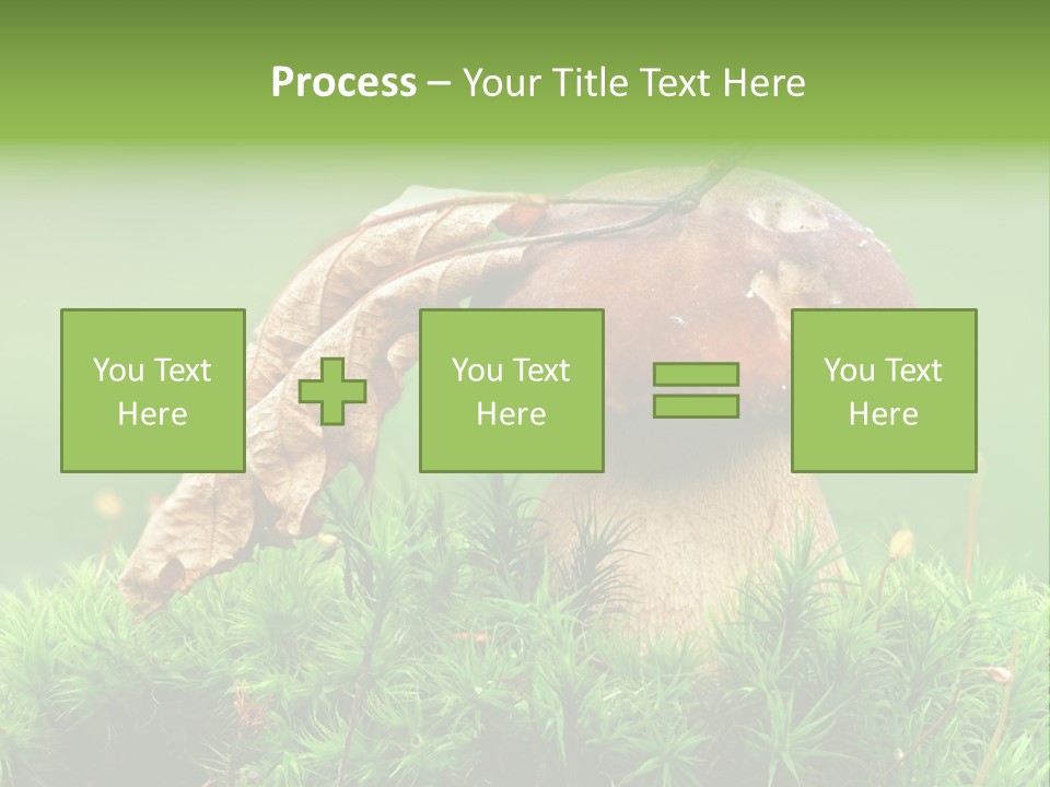 Mushroom PowerPoint Template