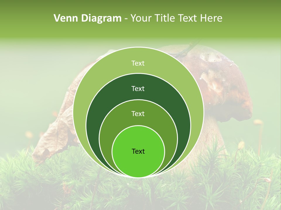 Mushroom PowerPoint Template