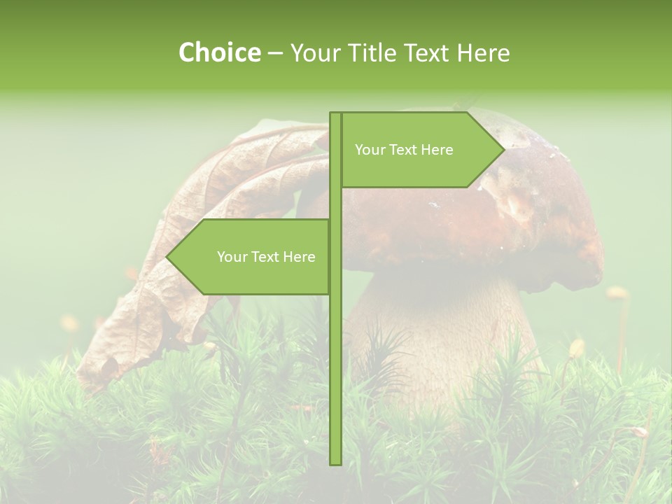 Mushroom PowerPoint Template