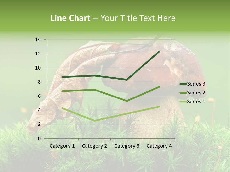 Mushroom PowerPoint Template