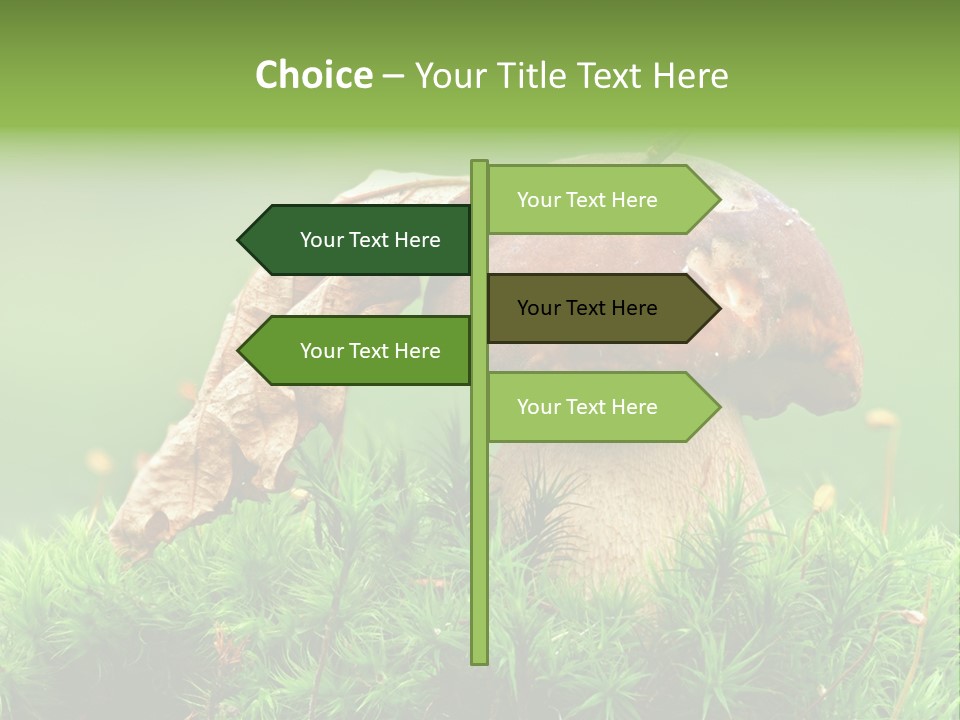Mushroom PowerPoint Template
