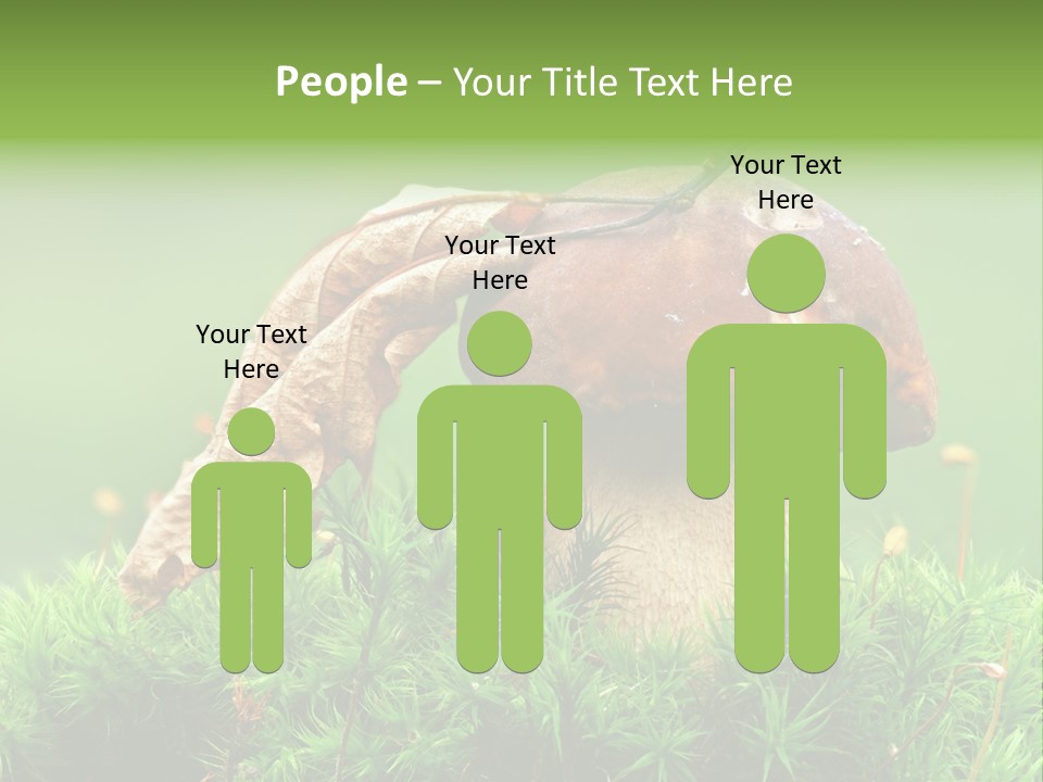 Mushroom PowerPoint Template