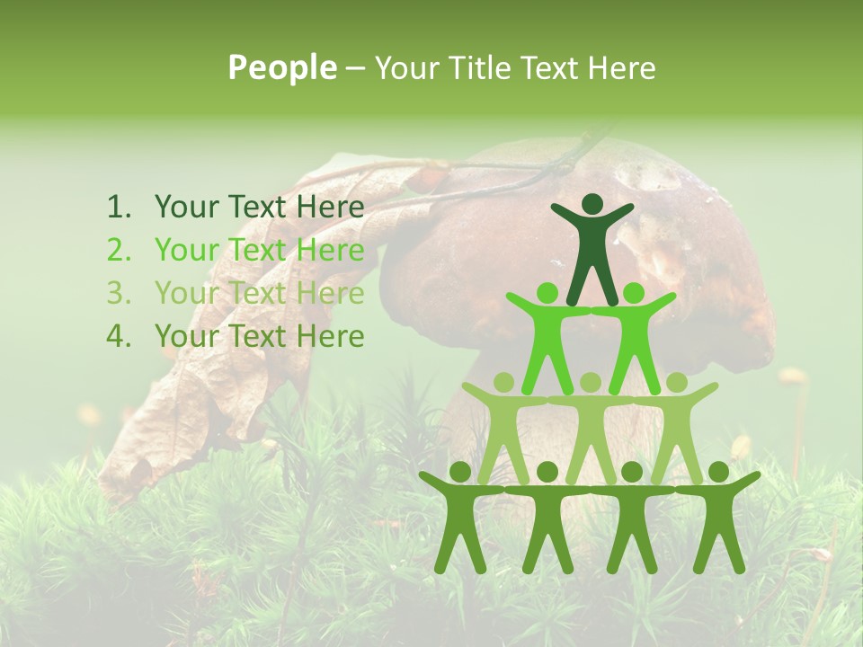 Mushroom PowerPoint Template