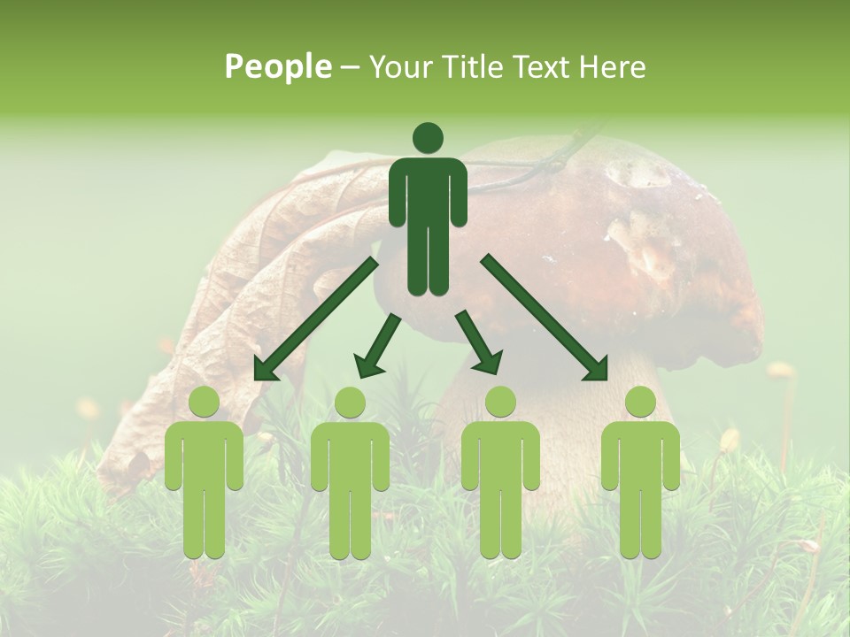 Mushroom PowerPoint Template