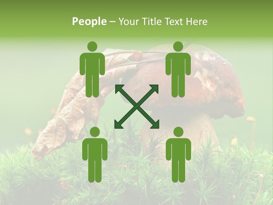 Mushroom PowerPoint Template