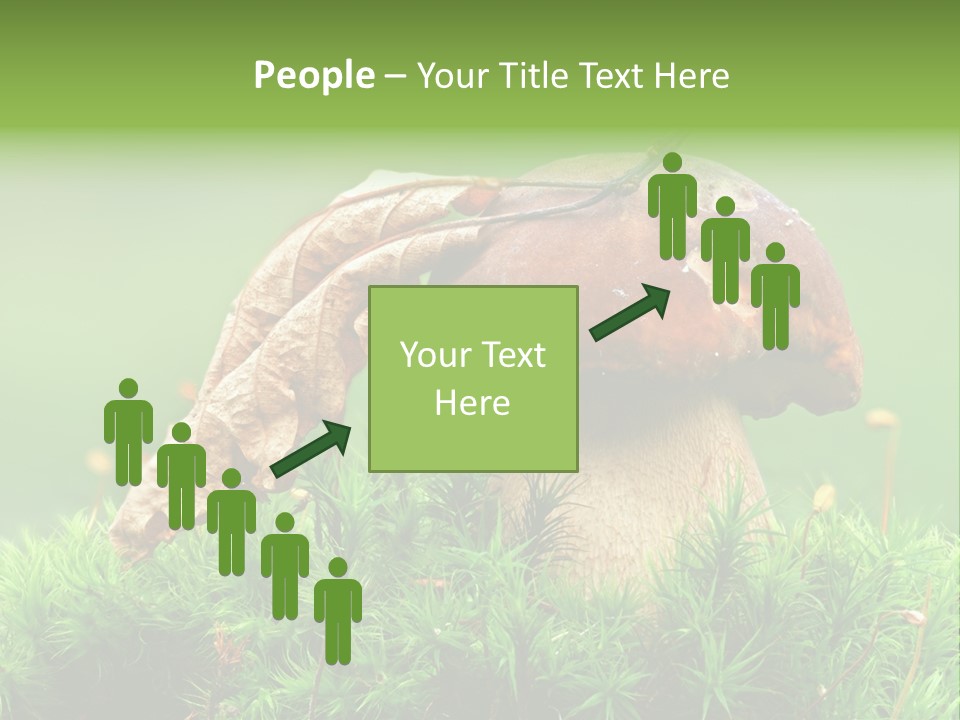 Mushroom PowerPoint Template