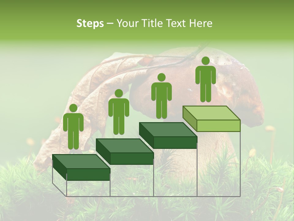 Mushroom PowerPoint Template