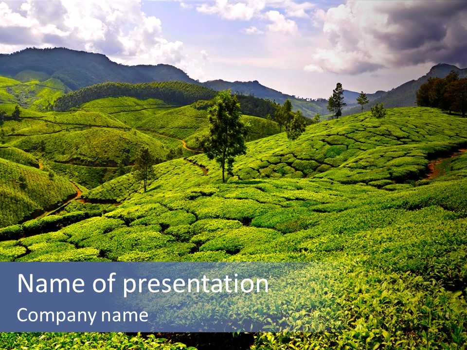 Plantation In Kerala PowerPoint Template