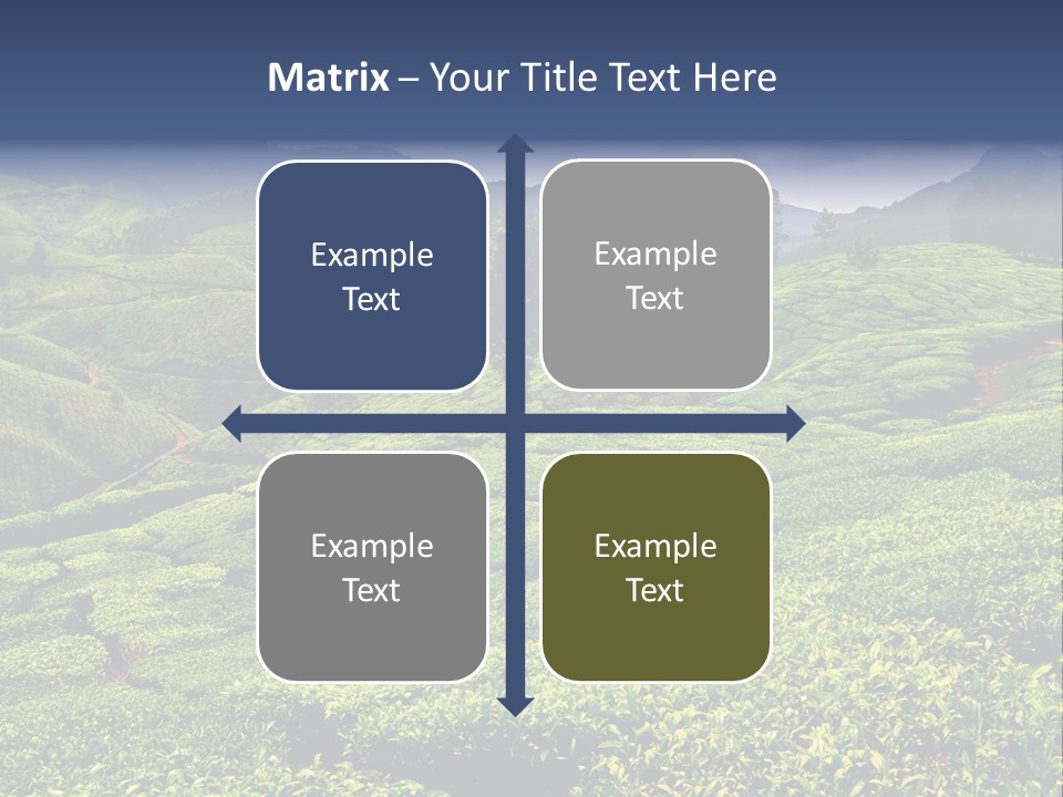Plantation In Kerala PowerPoint Template