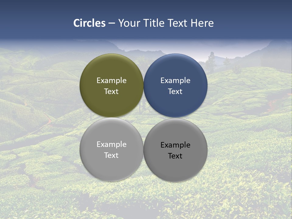 Plantation In Kerala PowerPoint Template