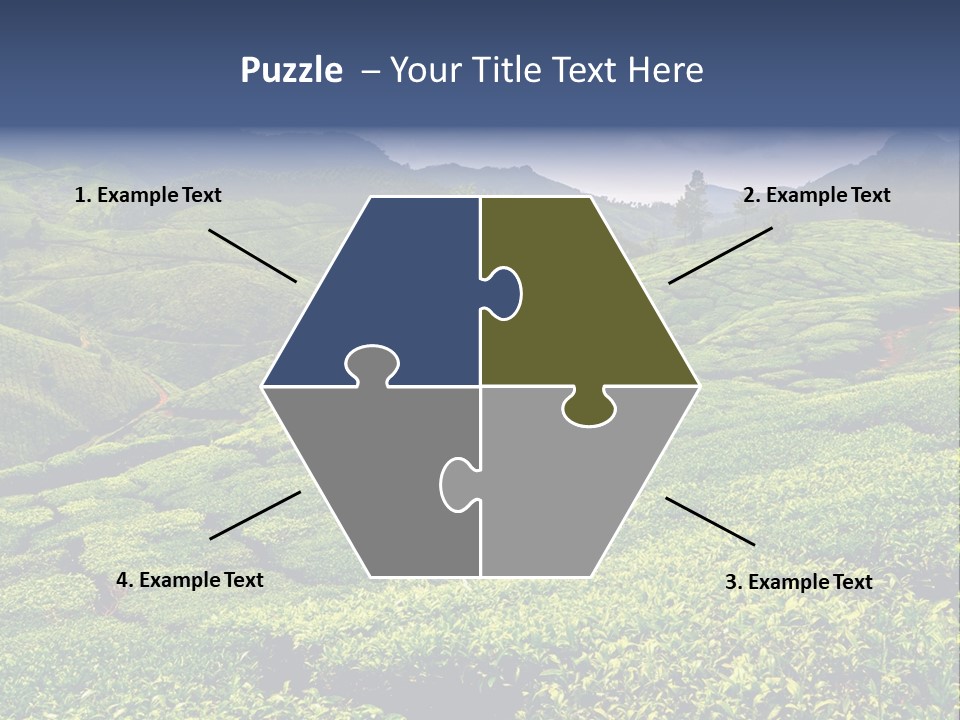 Plantation In Kerala PowerPoint Template