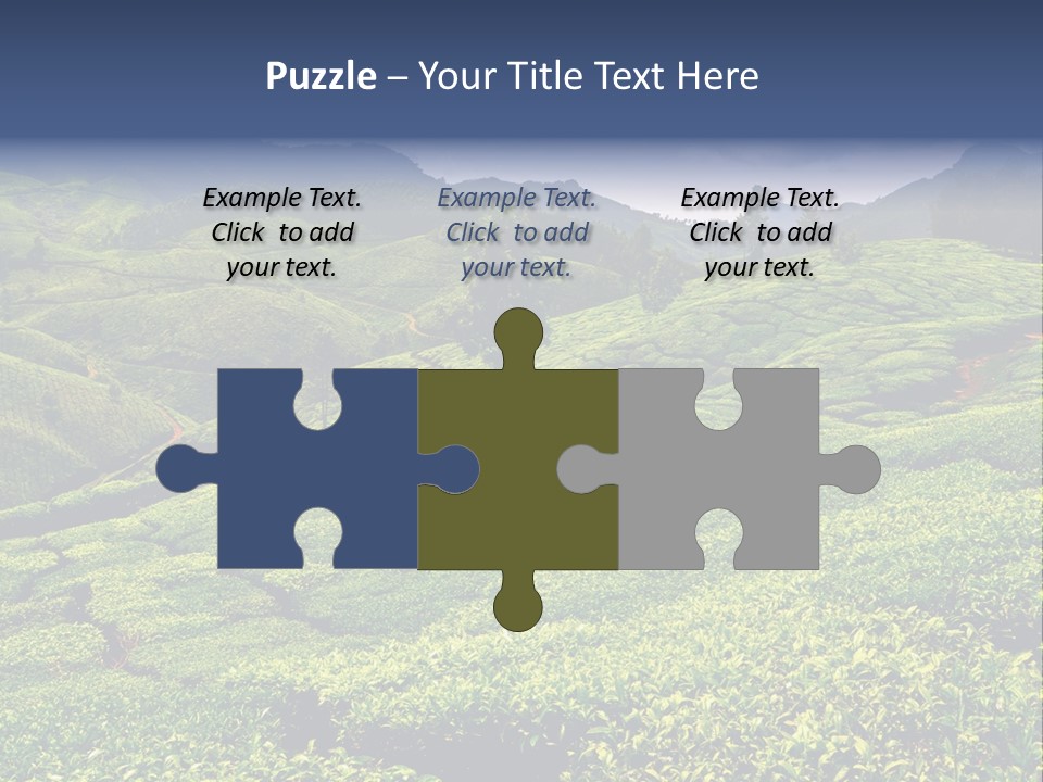 Plantation In Kerala PowerPoint Template