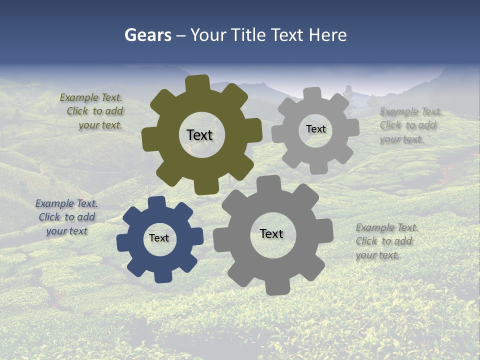 Plantation In Kerala PowerPoint Template