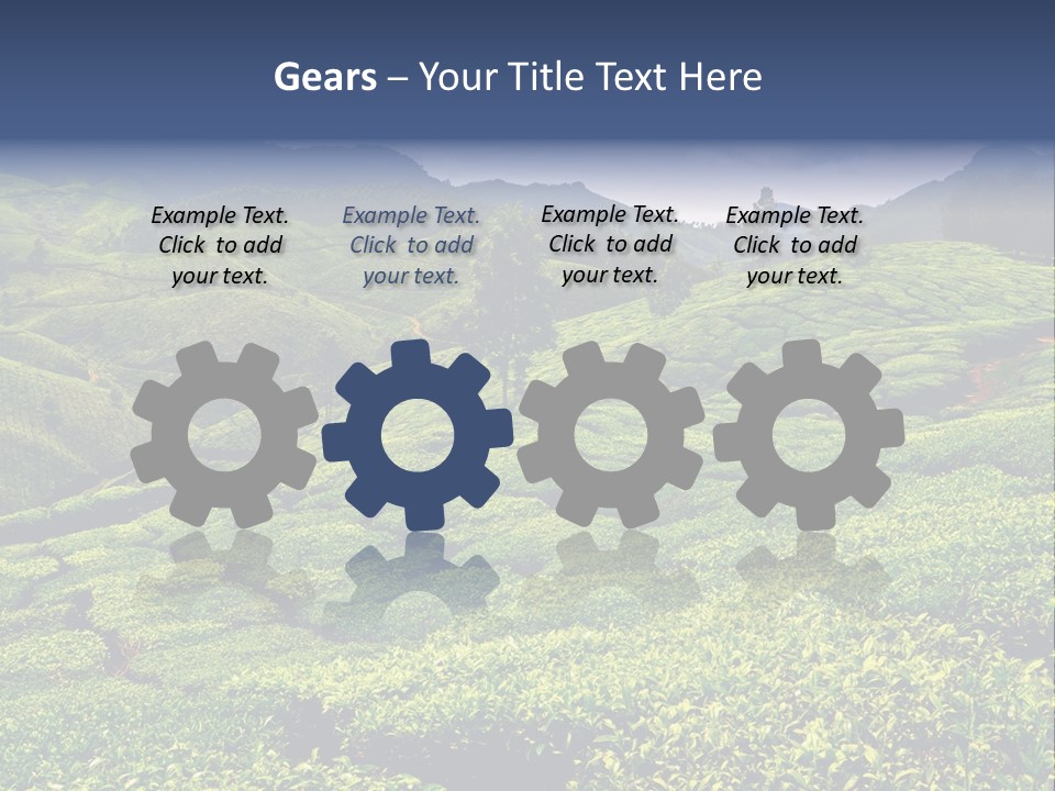 Plantation In Kerala PowerPoint Template