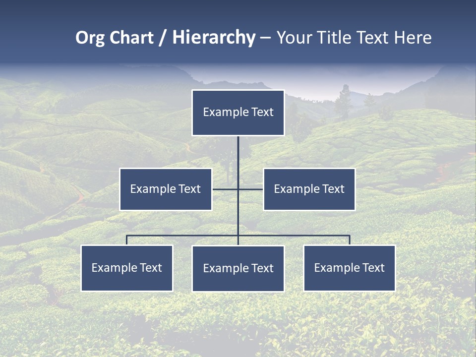 Plantation In Kerala PowerPoint Template