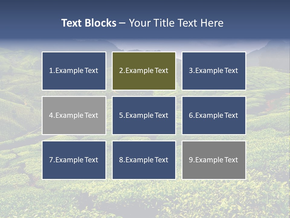 Plantation In Kerala PowerPoint Template