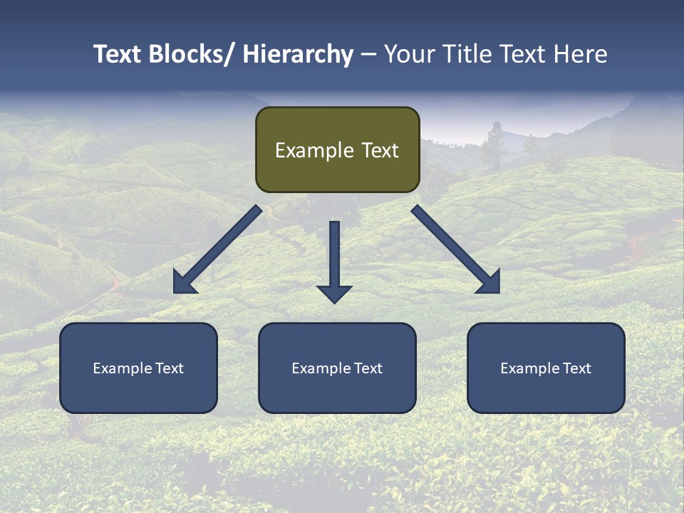 Plantation In Kerala PowerPoint Template