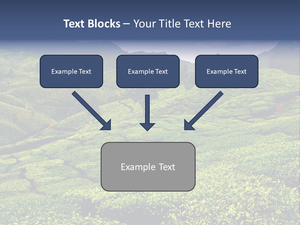 Plantation In Kerala PowerPoint Template