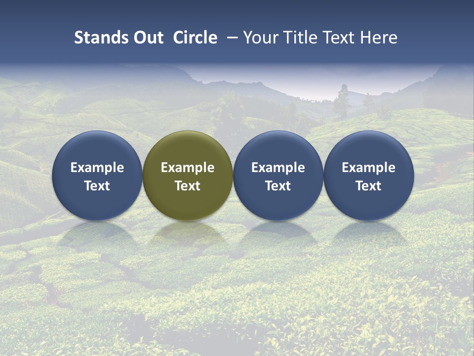 Plantation In Kerala PowerPoint Template