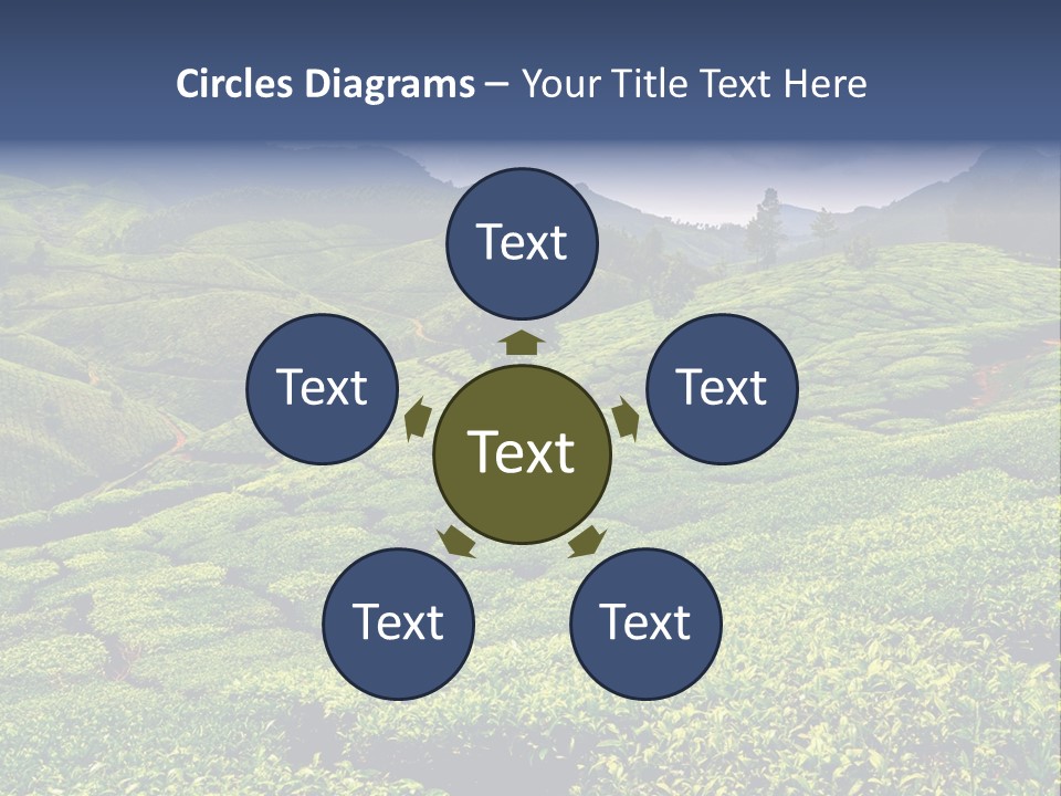 Plantation In Kerala PowerPoint Template