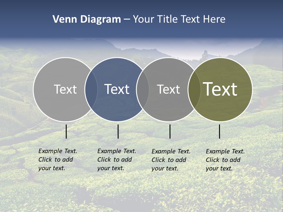 Plantation In Kerala PowerPoint Template