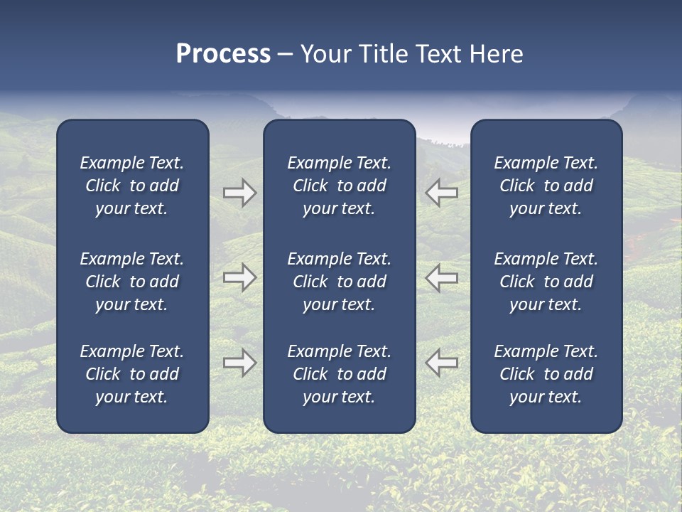Plantation In Kerala PowerPoint Template