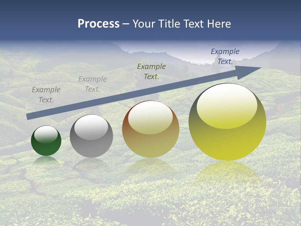 Plantation In Kerala PowerPoint Template