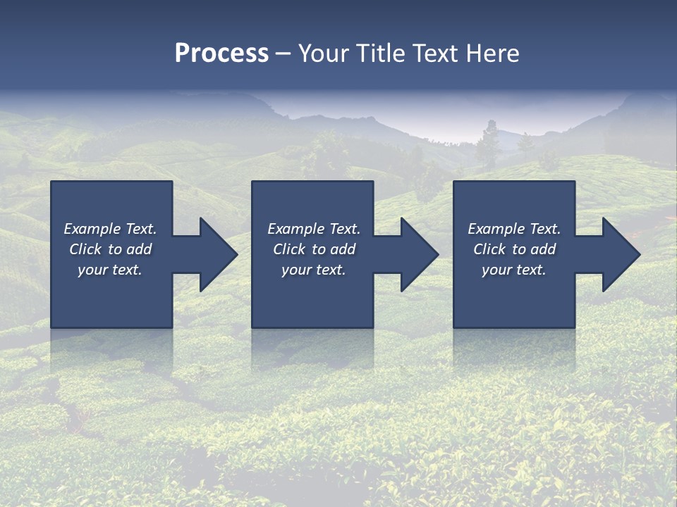 Plantation In Kerala PowerPoint Template