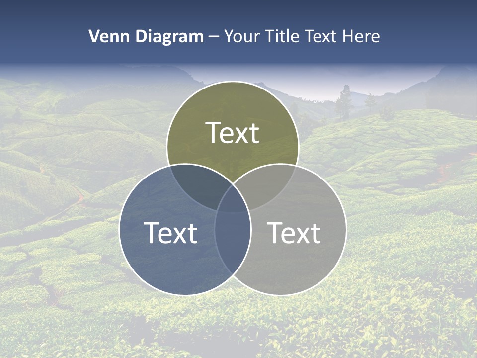 Plantation In Kerala PowerPoint Template