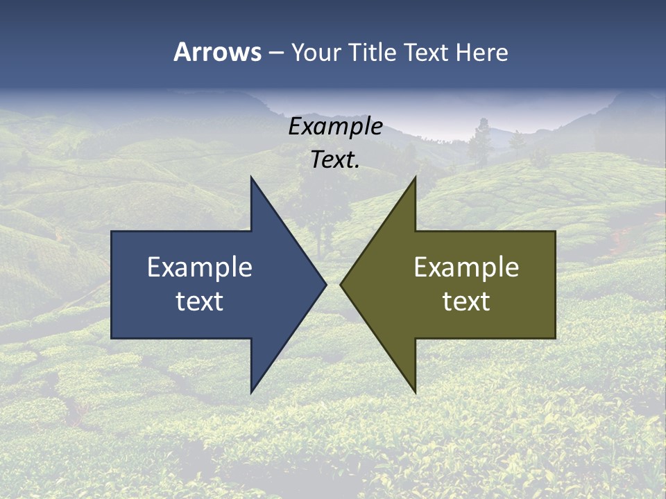 Plantation In Kerala PowerPoint Template