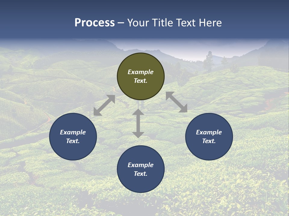 Plantation In Kerala PowerPoint Template