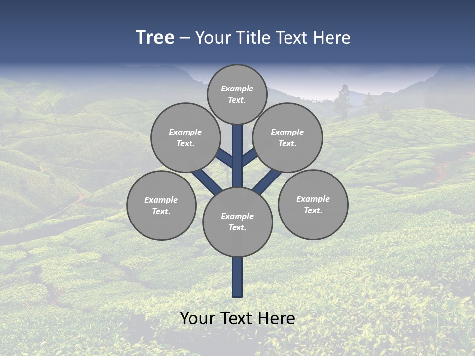 Plantation In Kerala PowerPoint Template