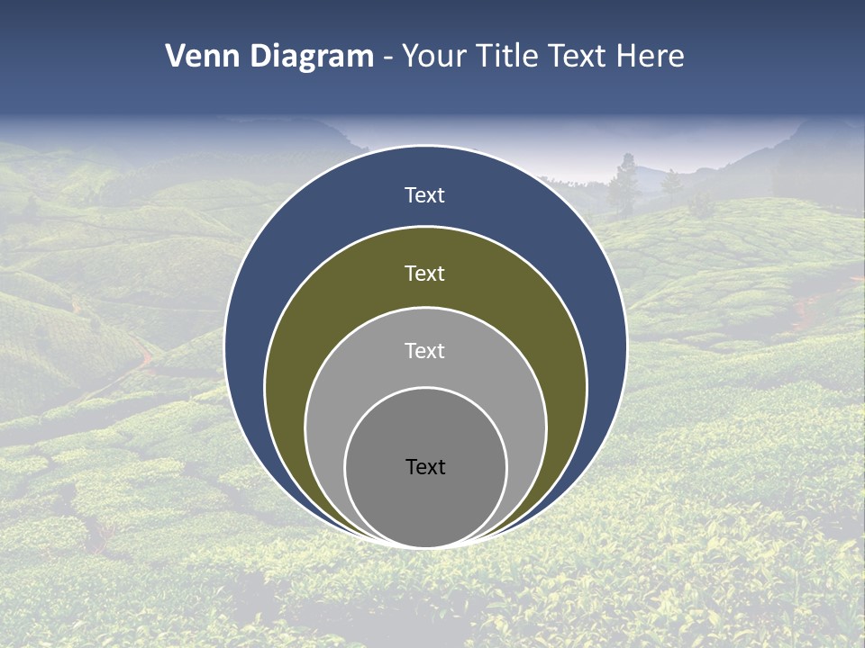 Plantation In Kerala PowerPoint Template