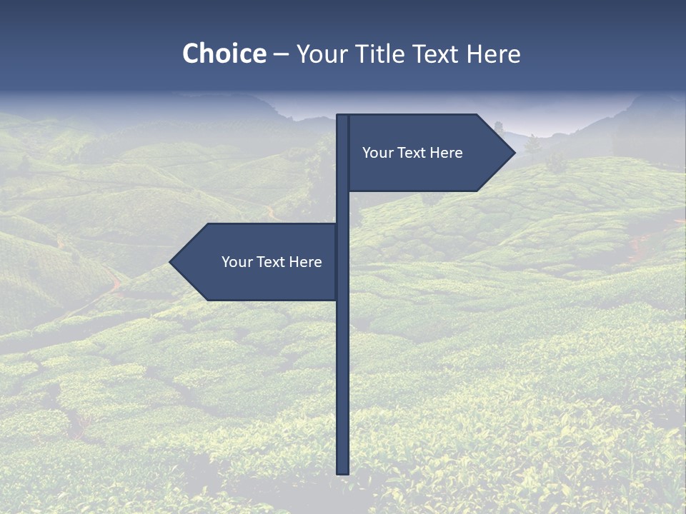 Plantation In Kerala PowerPoint Template