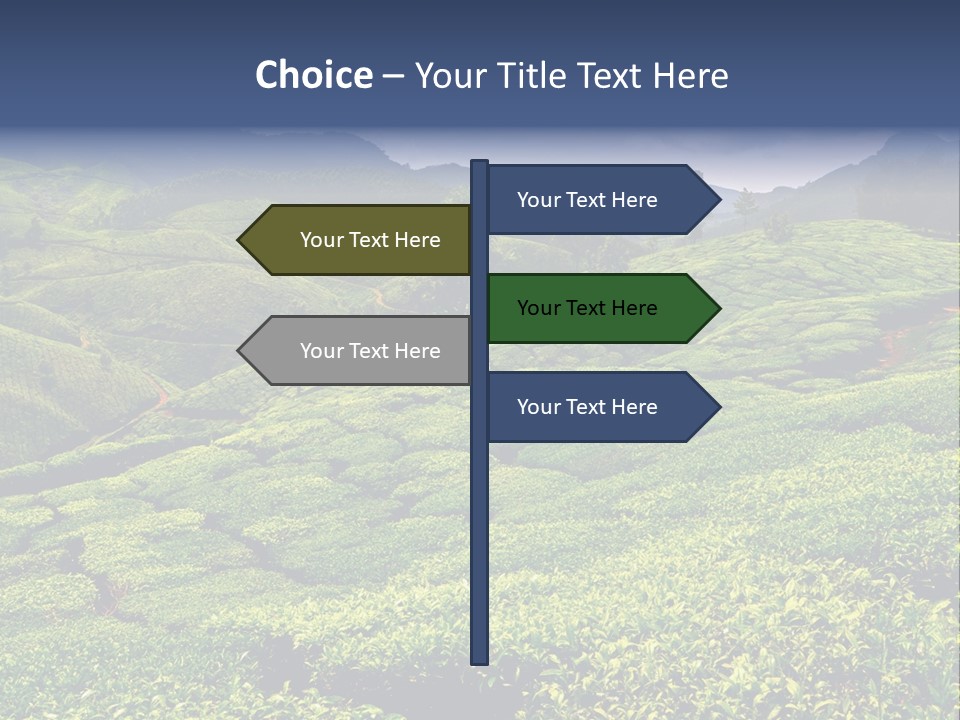 Plantation In Kerala PowerPoint Template