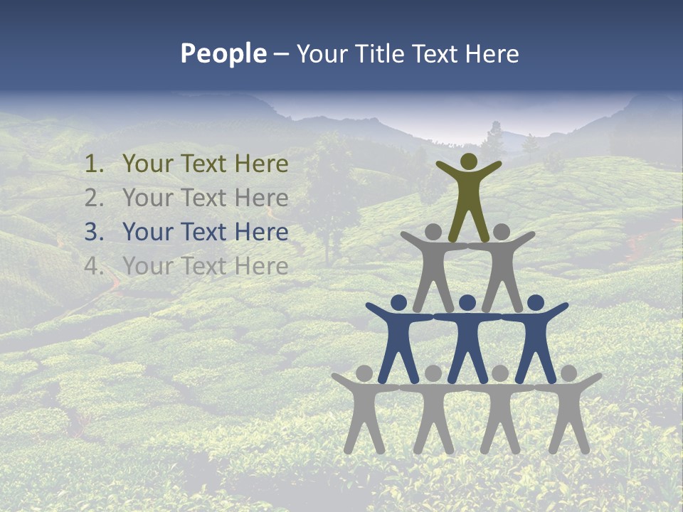 Plantation In Kerala PowerPoint Template