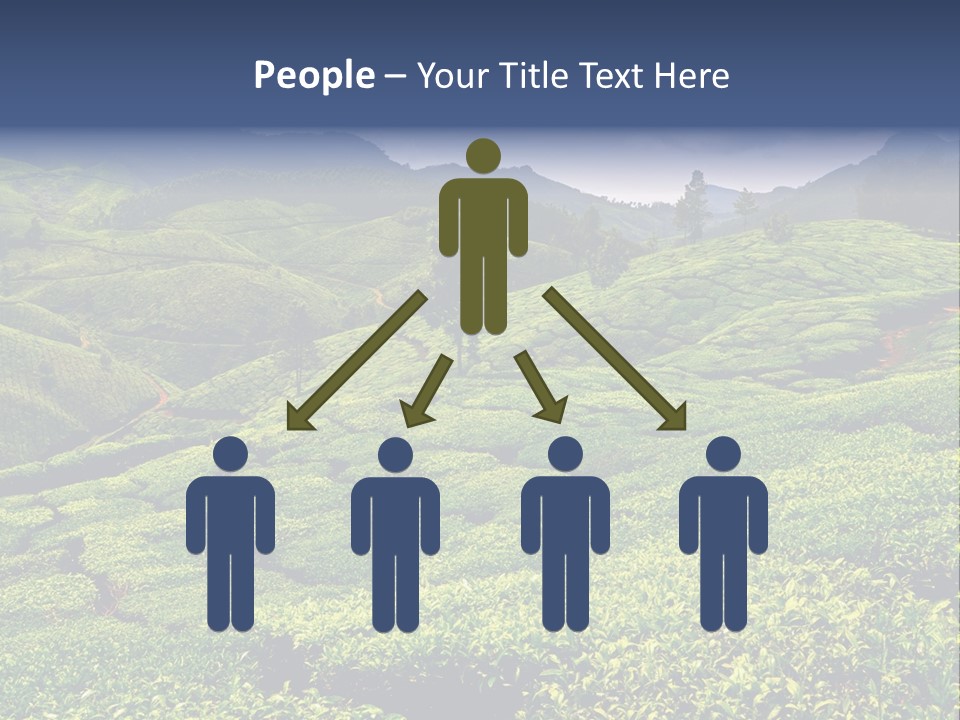 Plantation In Kerala PowerPoint Template