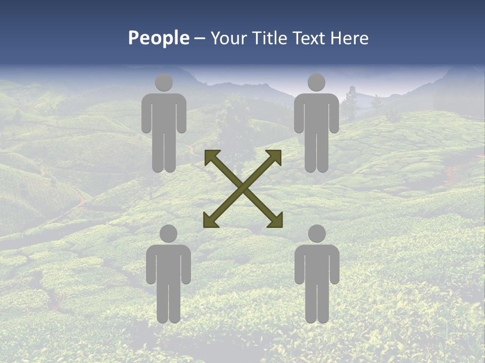 Plantation In Kerala PowerPoint Template