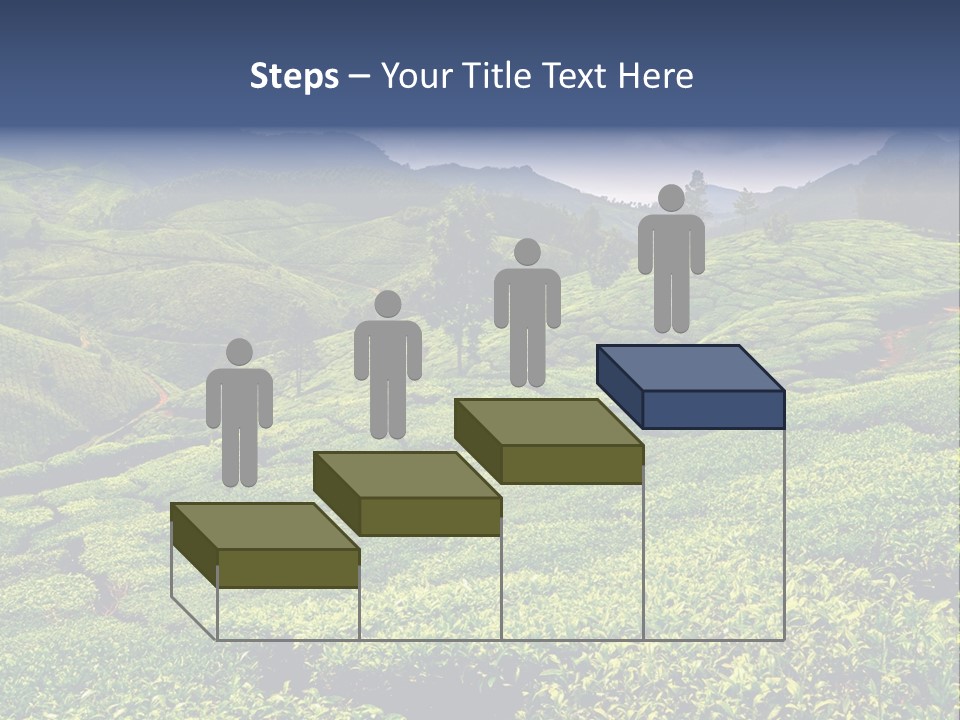 Plantation In Kerala PowerPoint Template