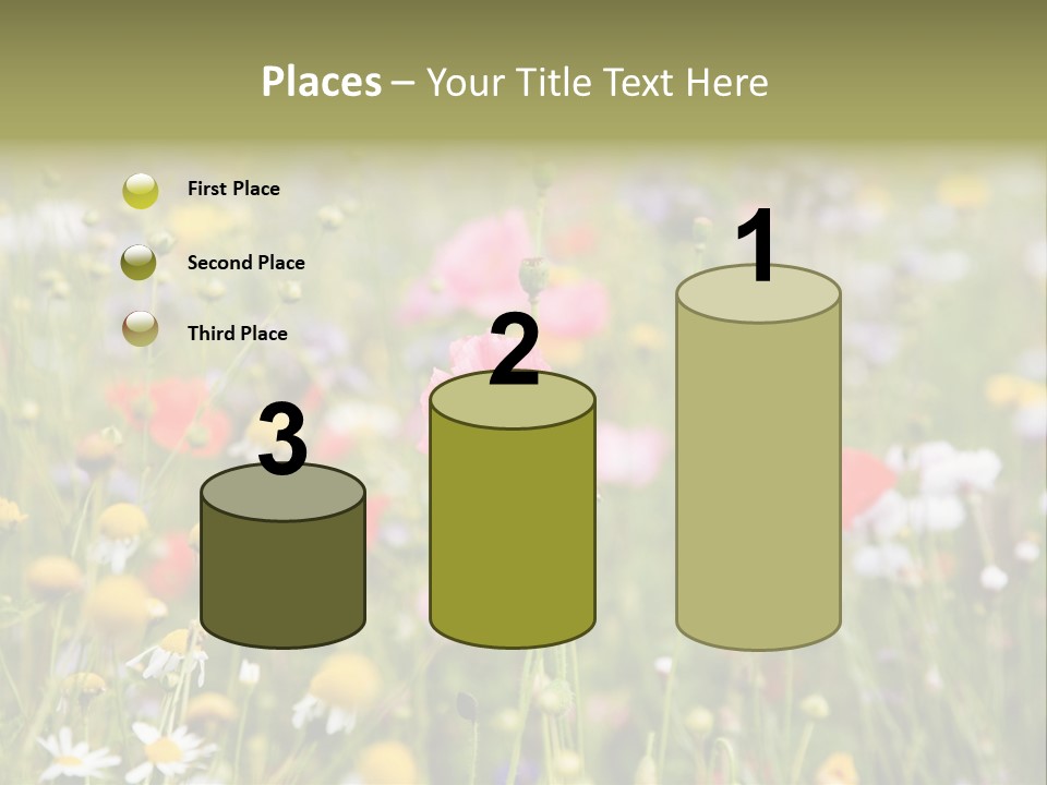Meadow Flowers PowerPoint Template