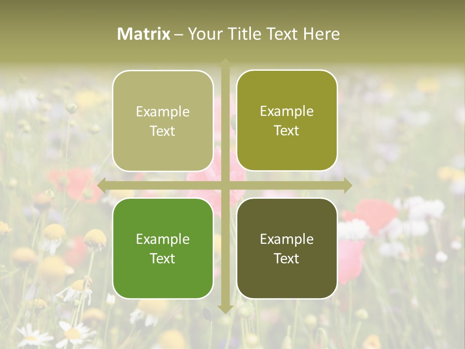 Meadow Flowers PowerPoint Template