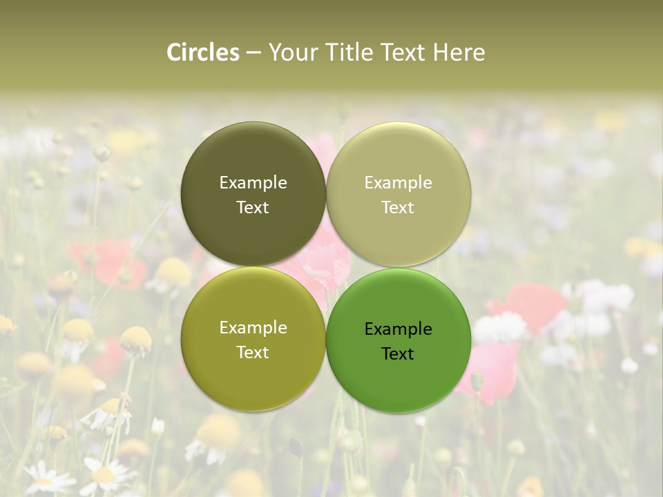 Meadow Flowers PowerPoint Template