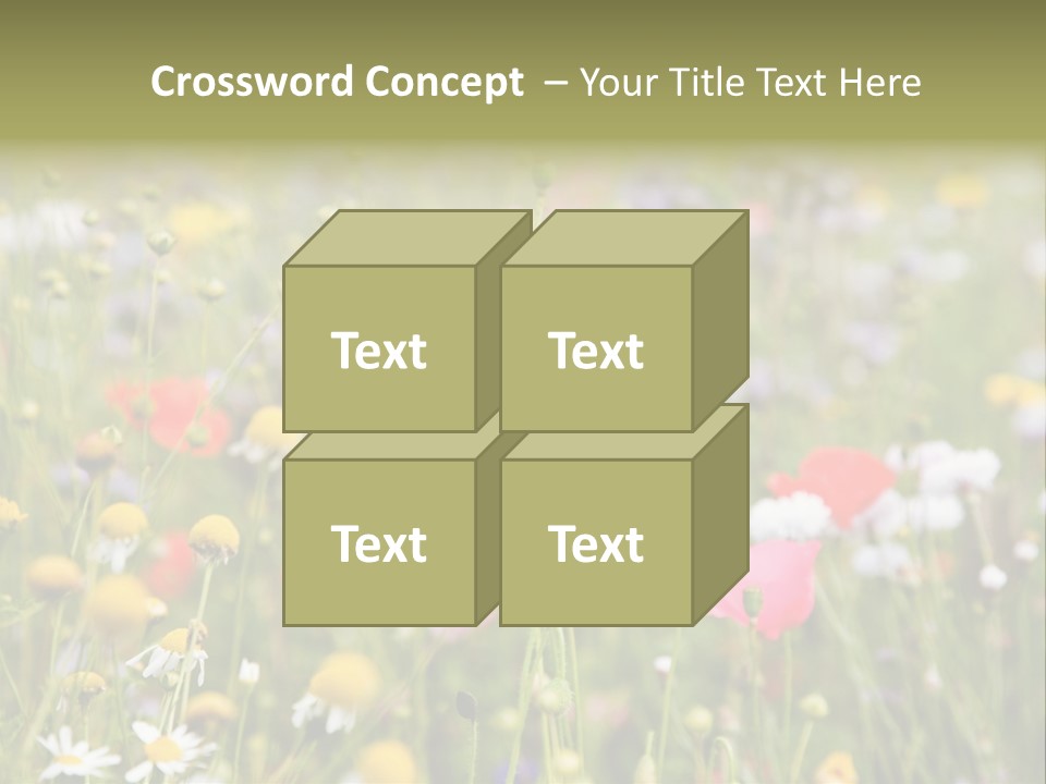 Meadow Flowers PowerPoint Template