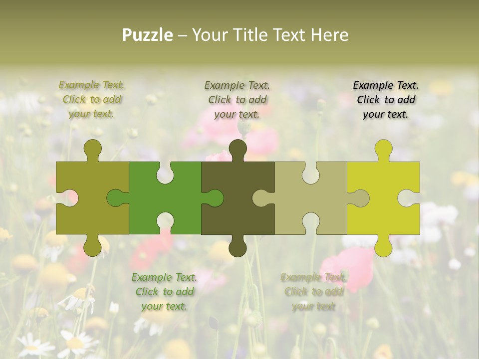 Meadow Flowers PowerPoint Template