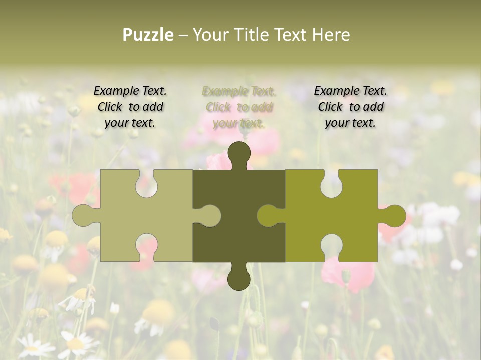 Meadow Flowers PowerPoint Template