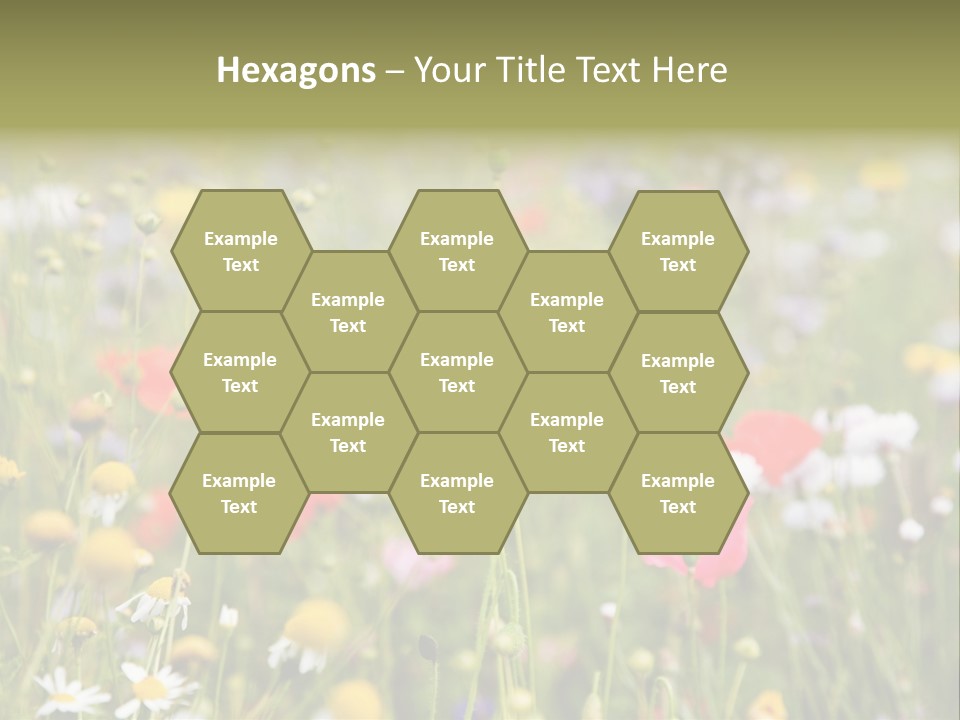 Meadow Flowers PowerPoint Template