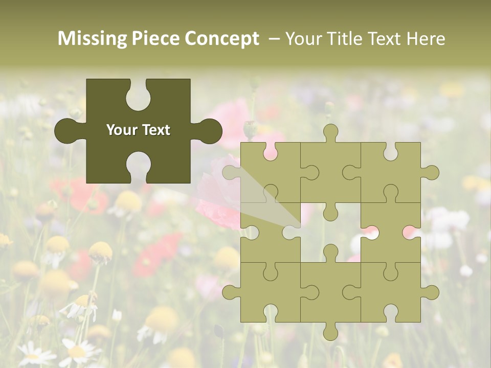 Meadow Flowers PowerPoint Template