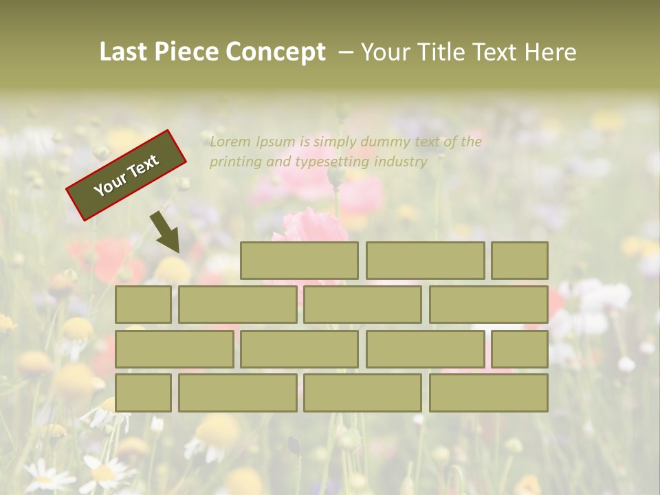 Meadow Flowers PowerPoint Template