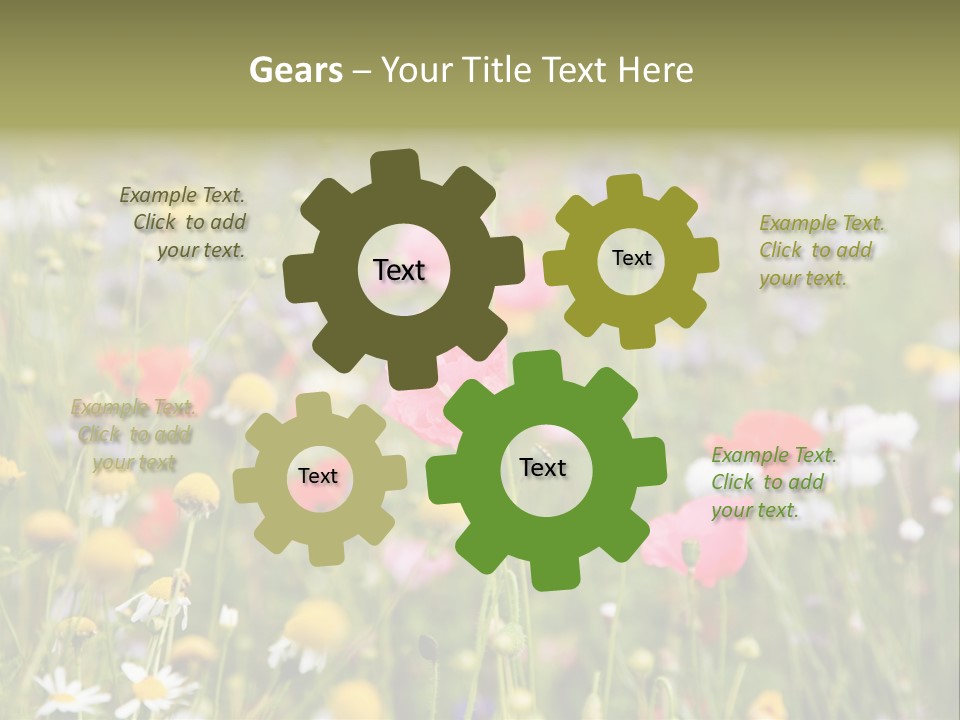 Meadow Flowers PowerPoint Template