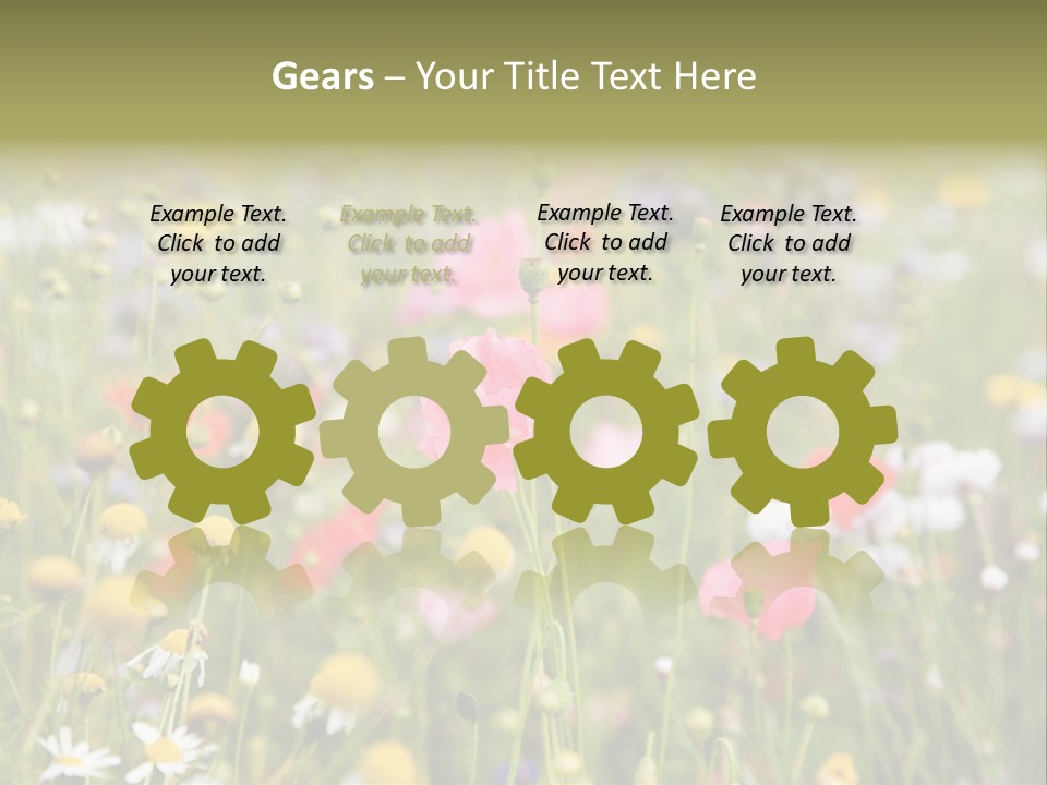 Meadow Flowers PowerPoint Template